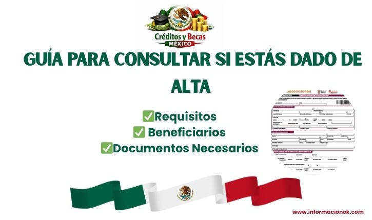 Guía