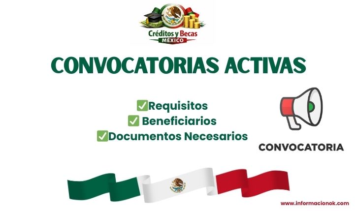 convocatorias activas